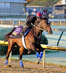 Motion Leaning Toward Turf Race for Aruna Motion Leaning Toward Turf Race for Aruna