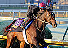 Motion Leaning Toward Turf Race for Aruna
