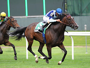 Aruna, Banimpire Battle in New York Stakes Aruna, Banimpire Battle in New York Stakes
