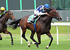 Aruna, Banimpire Battle in New York Stakes