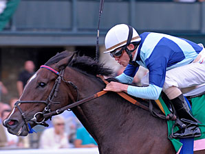 Aruna Has Options After Easy Spinster Triumph Aruna Has Options After Easy Spinster Triumph