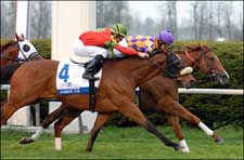Ascertain Finds Answer in Closing Day Elkhorn Win Ascertain Finds Answer in Closing Day Elkhorn Win