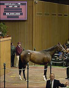 New Careers: Breeding Plans for Top Fillies, Mares New Careers: Breeding Plans for Top Fillies, Mares