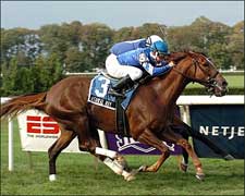 Ashkal Way Sets Stakes Mark in Kelso BC Win Ashkal Way Sets Stakes Mark in Kelso BC Win