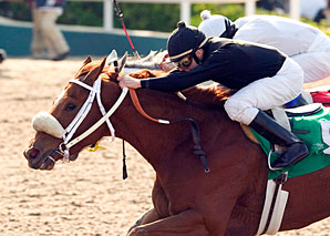 14 Ready to Fire in La Brea Stakes 14 Ready to Fire in La Brea Stakes