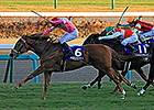 Florida-bred Asia Express Wins Asahi Futurity Florida-bred Asia Express Wins Asahi Futurity