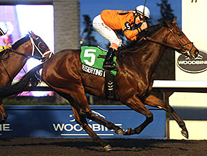 Asserting Bear Grabs Coronation Futurity Asserting Bear Grabs Coronation Futurity