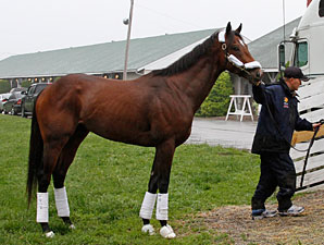 Astrology: High Hopes for Preakness Astrology: High Hopes for Preakness