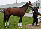 Astrology: High Hopes for Preakness Astrology: High Hopes for Preakness
