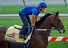 Haskin's Preakness Report: Mucho Confusion