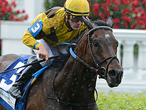 Atigun and Air Support Head Colonial Turf Cup Atigun and Air Support Head Colonial Turf Cup