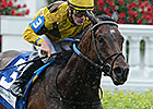 Atigun and Air Support Head Colonial Turf Cup Atigun and Air Support Head Colonial Turf Cup