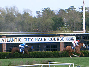 New Life for Atlantic City Race Course? New Life for Atlantic City Race Course?