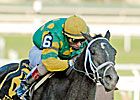 Dogwood Colts on Derby Trail