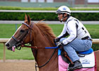 Daily Oaks Notes: April 30