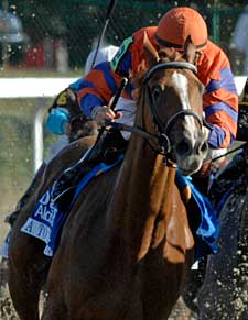 Breeders' Cup Focus: A to the Croft Breeders' Cup Focus: A to the Croft