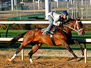 Atta Boy Roy Shows He's Ready for BC Sprint Atta Boy Roy Shows He's Ready for BC Sprint
