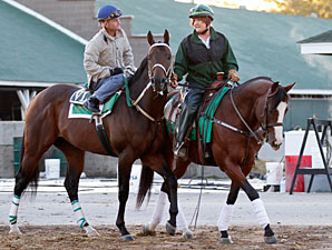 Atta Boy Roy Finishes Second in Final Start Atta Boy Roy Finishes Second in Final Start