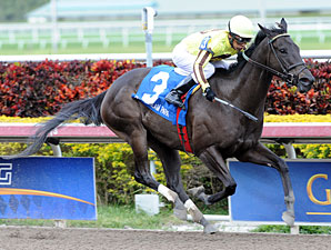 Grade I Winner Aubby K Sold After Retirement Grade I Winner Aubby K Sold After Retirement
