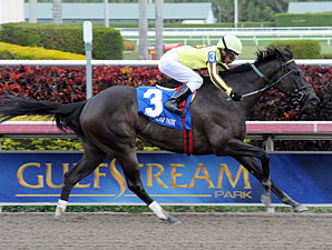 Comebacker Aubby K Aces Inside Information Comebacker Aubby K Aces Inside Information