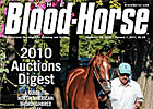 2010 Auctions Digest