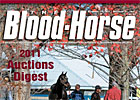 2011 Auctions Digest 
