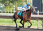 Aurelia's Belle Takes Arlington Oaks Aurelia's Belle Takes Arlington Oaks