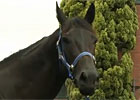 Interview - Peter Moody & Black Caviar Interview - Peter Moody & Black Caviar