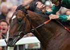 Authorized Impressive in Juddmonte International