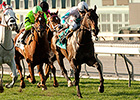 Avanzare Responds For Stevens in Arcadia Win Avanzare Responds For Stevens in Arcadia Win
