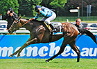 Unbeaten Avenir Certain Takes French Classic Unbeaten Avenir Certain Takes French Classic