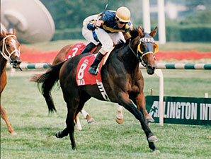 Multiple Grade I Winner Awad Dead Multiple Grade I Winner Awad Dead