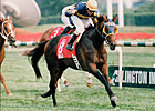 Multiple Grade I Winner Awad Dead Multiple Grade I Winner Awad Dead