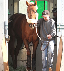 Awesome Act Works Six Furlongs at Churchill Awesome Act Works Six Furlongs at Churchill