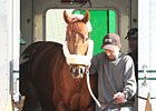 Awesome Act Works Six Furlongs at Churchill