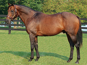 Adena Springs Announces 2009 Fees Adena Springs Announces 2009 Fees