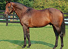 Adena Springs Announces 2009 Fees