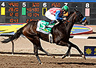 Awesome Baby Wins Sunland Oaks With Authority Awesome Baby Wins Sunland Oaks With Authority