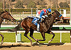 Awesome Baby Stands Out in Sunland Park Oaks Awesome Baby Stands Out in Sunland Park Oaks