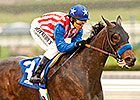 Featured Horse Profile: Awesome Baby Featured Horse Profile: Awesome Baby