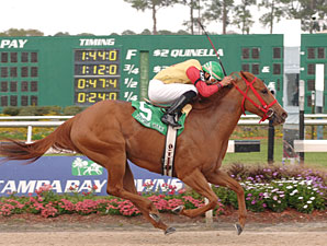 Awesome Chic Skims Rail in Florida Oaks Awesome Chic Skims Rail in Florida Oaks