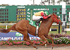 Awesome Chic Skims Rail in Florida Oaks Awesome Chic Skims Rail in Florida Oaks
