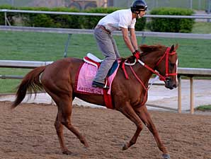 Awesome Chic Has Pedigree to Win Oaks Awesome Chic Has Pedigree to Win Oaks