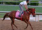 Awesome Chic Has Pedigree to Win Oaks Awesome Chic Has Pedigree to Win Oaks
