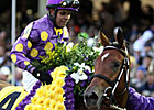 Awesome Feather Walking Under Tack Awesome Feather Walking Under Tack