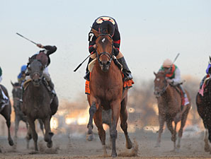 Perfect Awesome Feather Gallops in Gazelle Perfect Awesome Feather Gallops in Gazelle