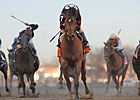 Perfect Awesome Feather Gallops in Gazelle Perfect Awesome Feather Gallops in Gazelle