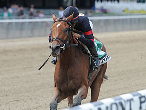 Awesome Feather On Go for Ladies' Classic