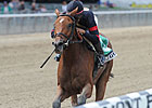 Awesome Feather On Go for Ladies' Classic