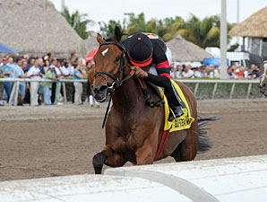 Awesome Feather Entered at Belmont Sept. 20 Awesome Feather Entered at Belmont Sept. 20